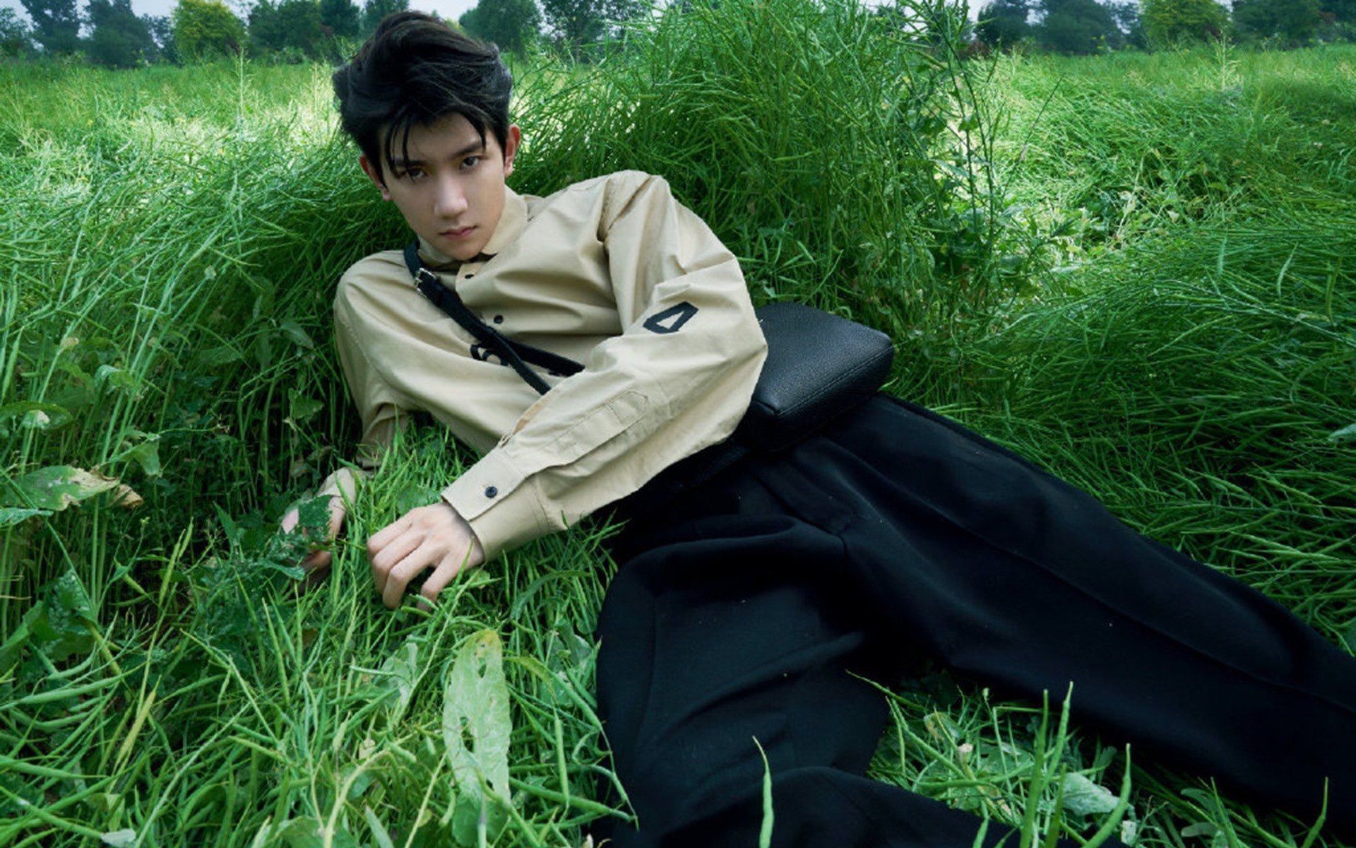 【亚伦·诺拉的精彩投球】费城明星投手连续六场优异表现