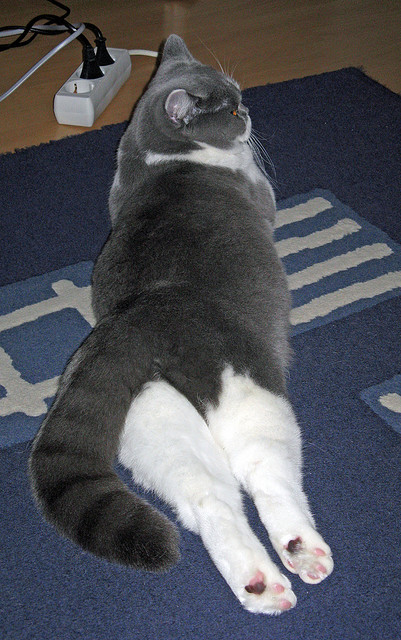 西班牙主帅：为球员表现感到骄傲，西班牙主帅是谁