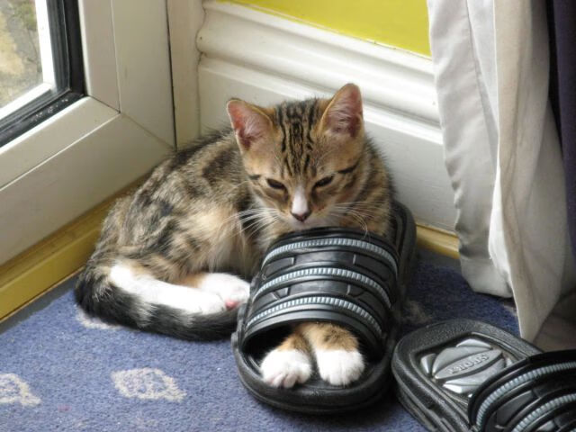 青少年足球课程融合体育与科技，加快培养未来足球人才，青少年足球培训