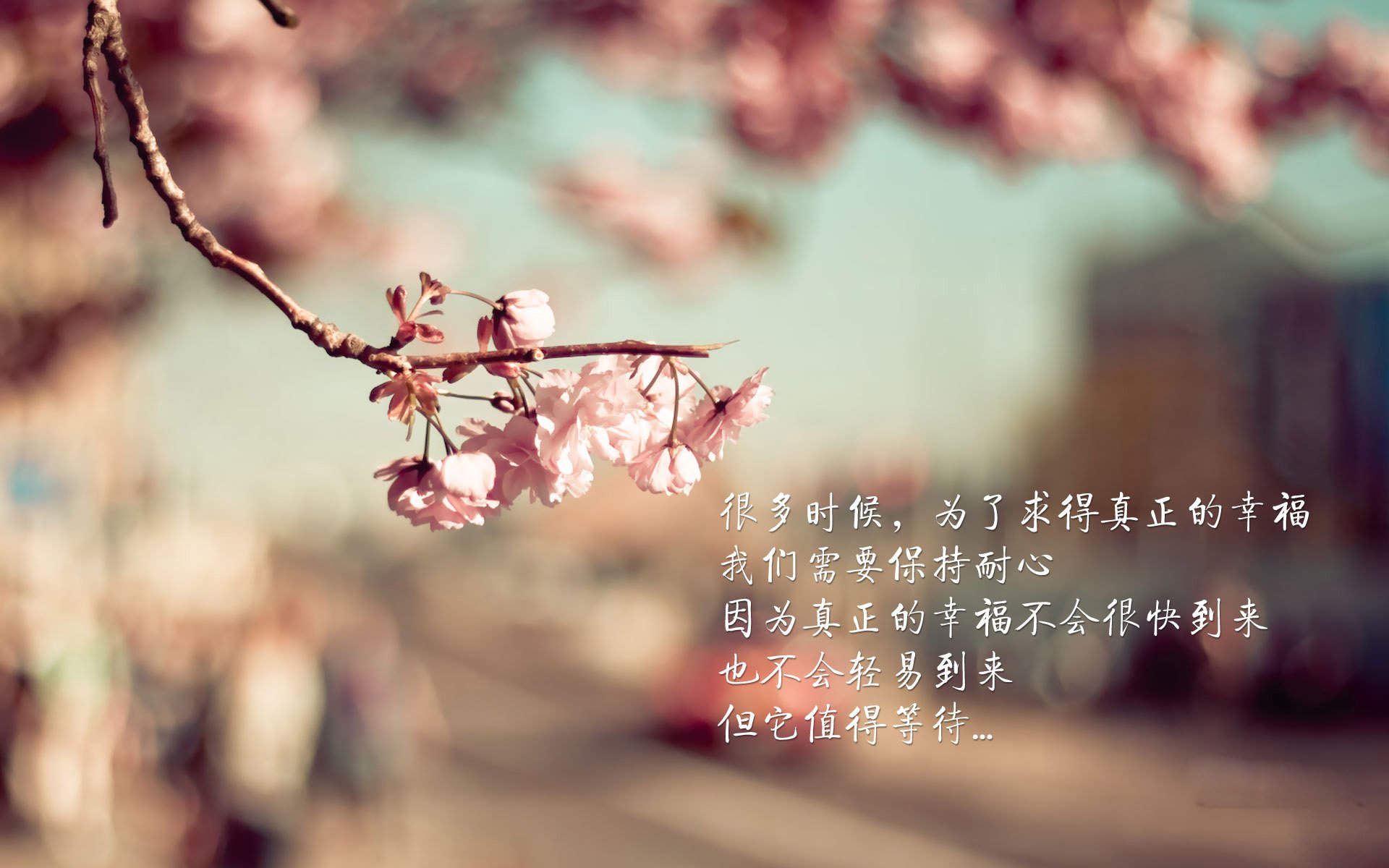 公牛季后赛首轮出局，球队面临阵容调整，公牛队下赛季阵容