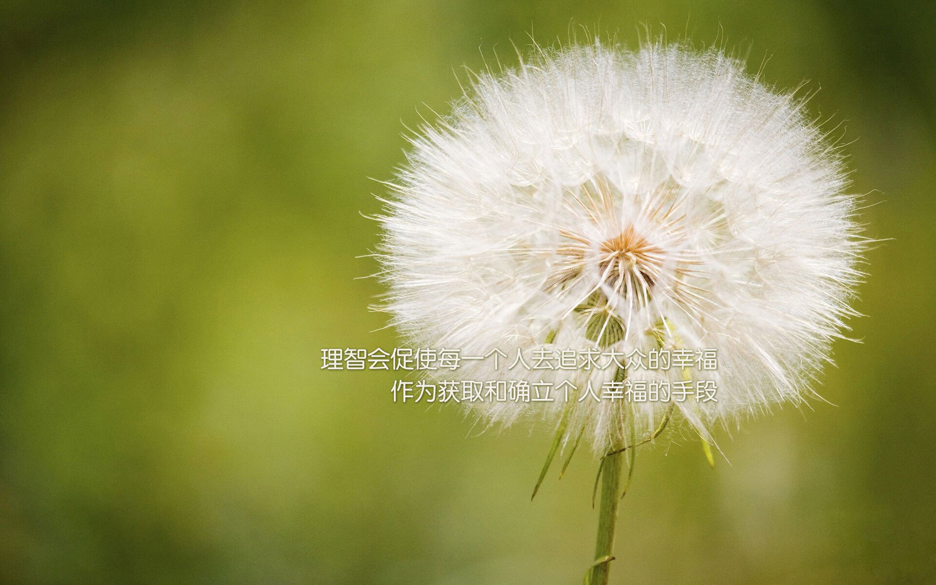 爱游戏官网-勇士三分投射依旧犀利，勇士三分集锦