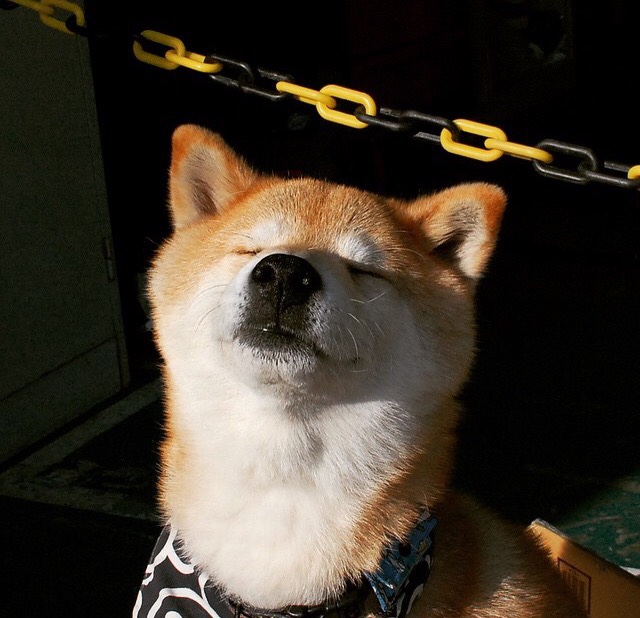 爱游戏电竞官网-瑞士女足实力强劲，小组第一晋级，瑞士女足23