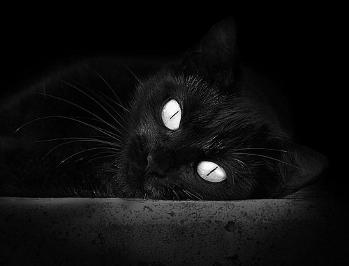 里约奥运会篮球比赛落幕,圣火传递热情延续,里约奥运会篮球比赛视频