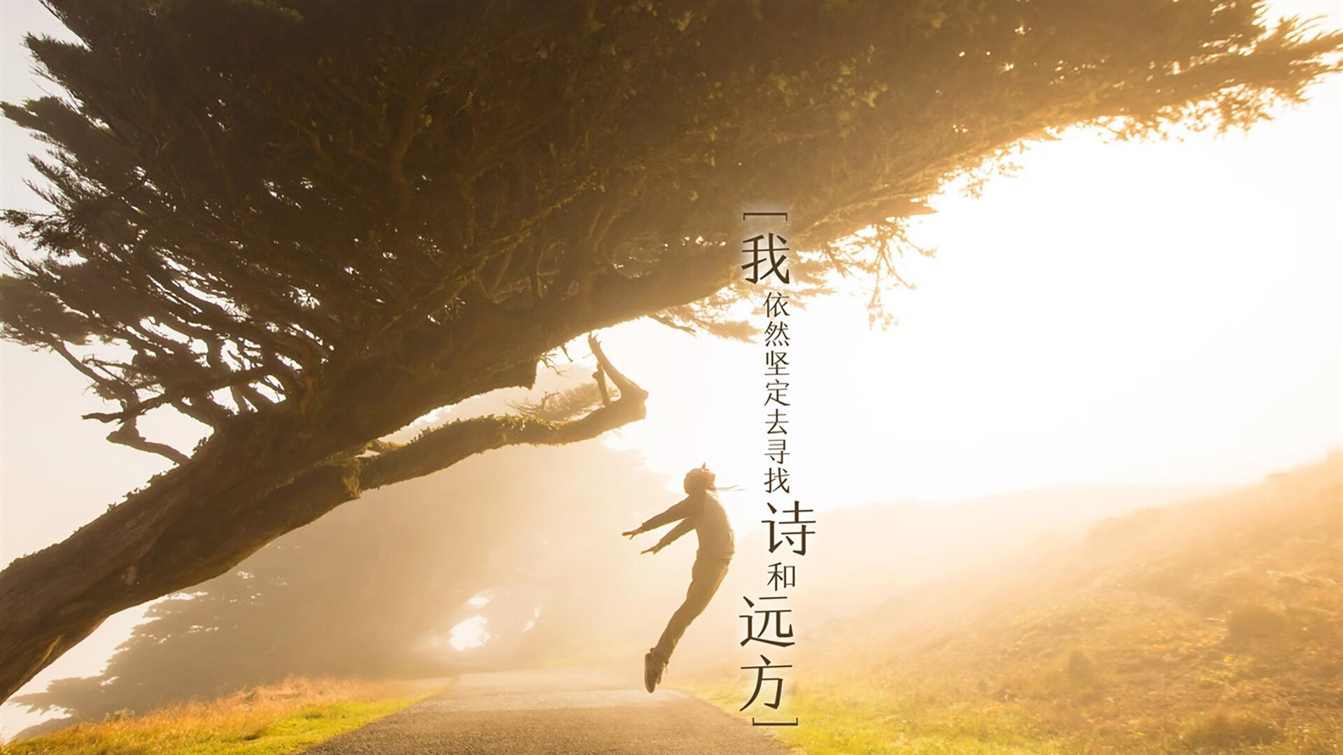 世界杯影响:五大联赛的变化与机遇,世界杯的参赛队伍