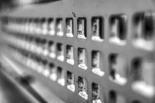 爱游戏官网-青少年运动损伤预防技术及实践研究，青少年运动损伤预防技术及实践研究论文