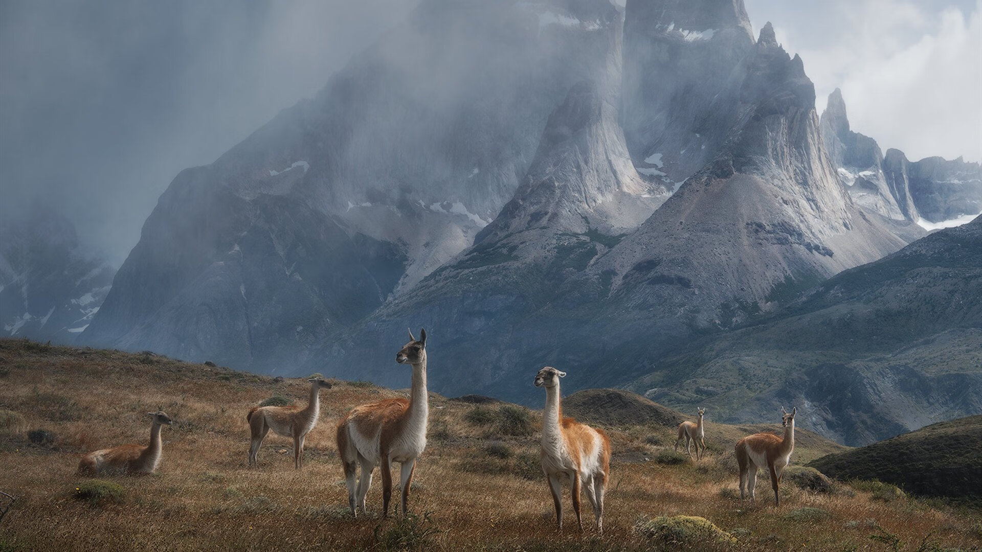 爱游戏-多特蒙德年轻球员带动整体节奏提升，多特蒙德老球员