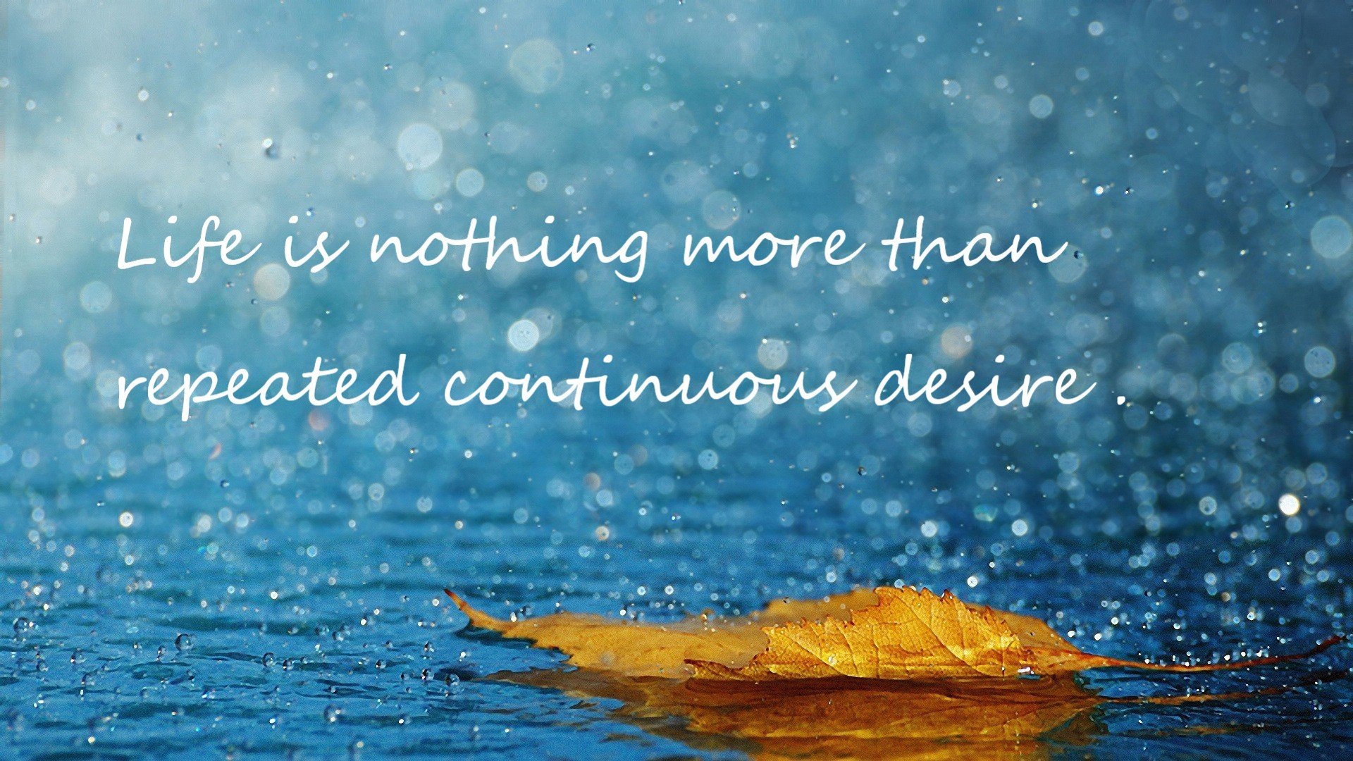 爱游戏登录入口-弗赖堡站位灵活打出多线推进模式，弗赖堡对多特蒙德比分预测