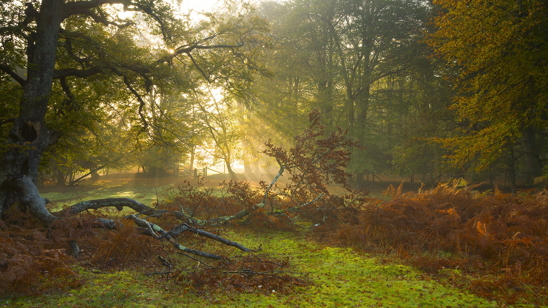 爱游戏登录入口-节奏突变对球队情绪管理是否具备正面作用，节奏变化的基本方式