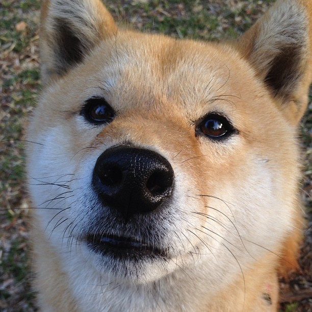 爱游戏官方网站-体育新闻中心公布体育赛事防疫常态化实施细则，体育赛事疫情防控方案及应急预案