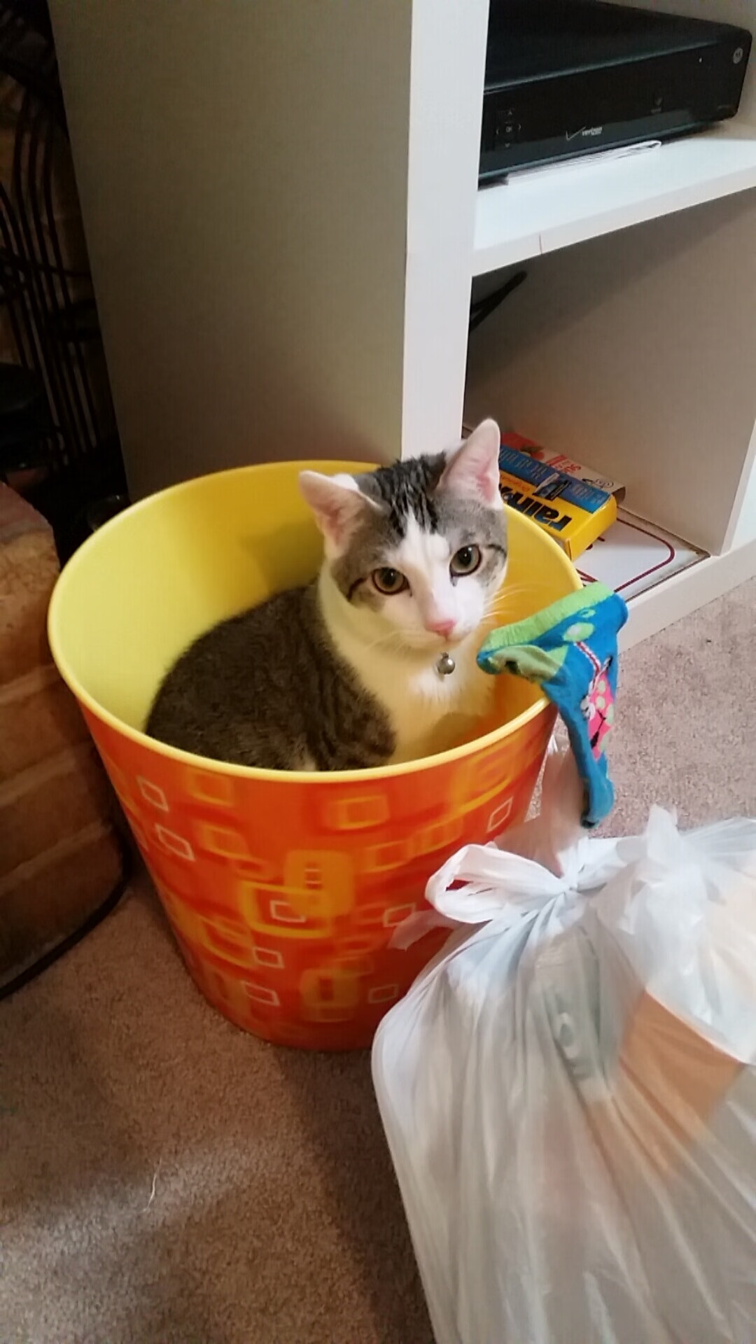 AYX体育-库里开设投篮体验馆推广篮球文化，库里的投篮训练