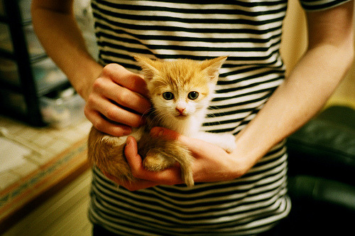 爱游戏中国官方网站平台-斯洛伐克女篮在欧洲预赛中不断突破，冲击奥运席位，斯洛伐克u20女篮