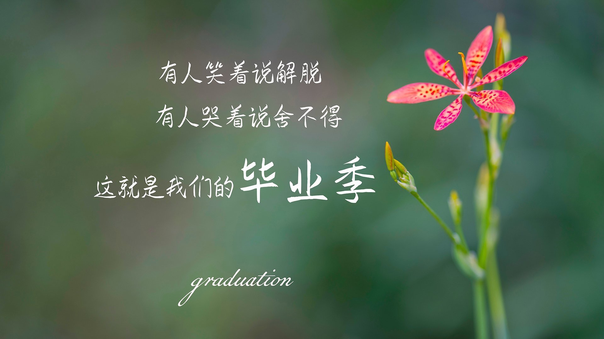 爱游戏官方网站-校园足球设置多维考核模型实现技学双提升，校园足球评价体系